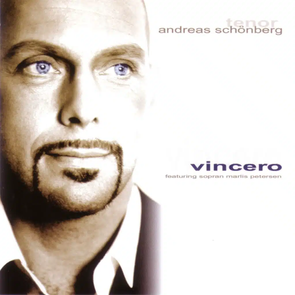 Vincero - New Wonderful Melodies