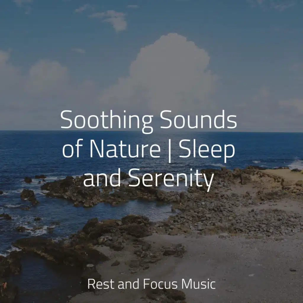 Zen & Avslappning Sound