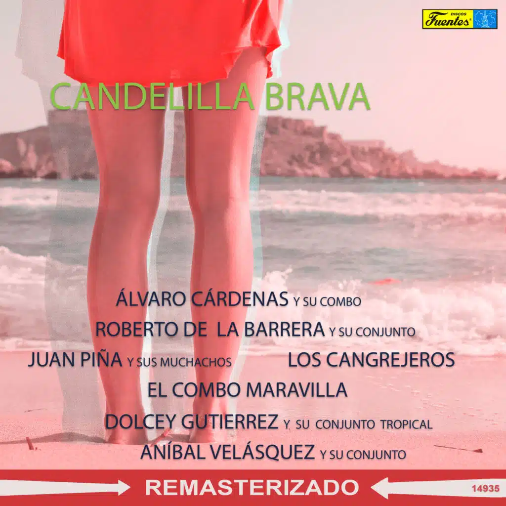 Candelilla Brava