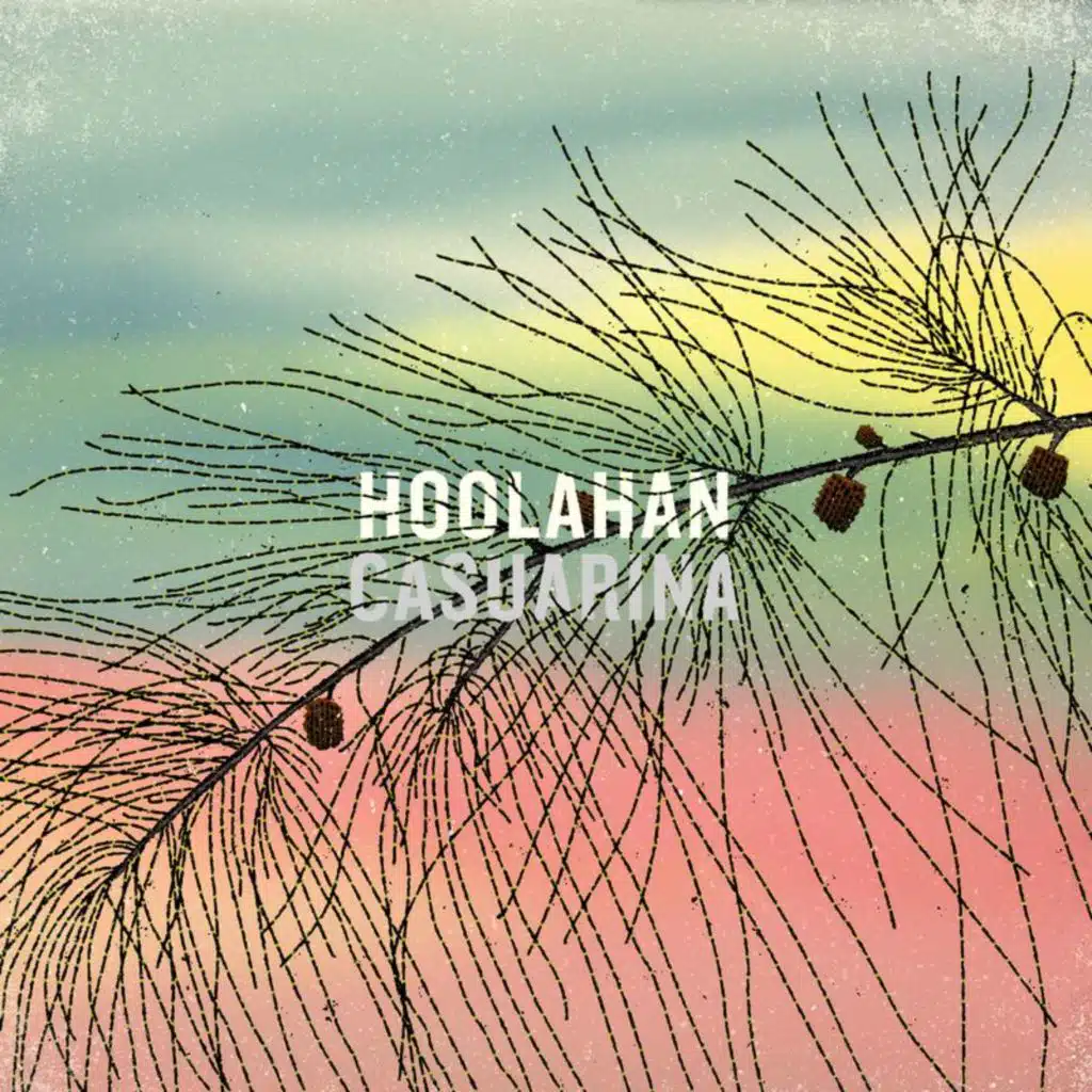 Hoolahan