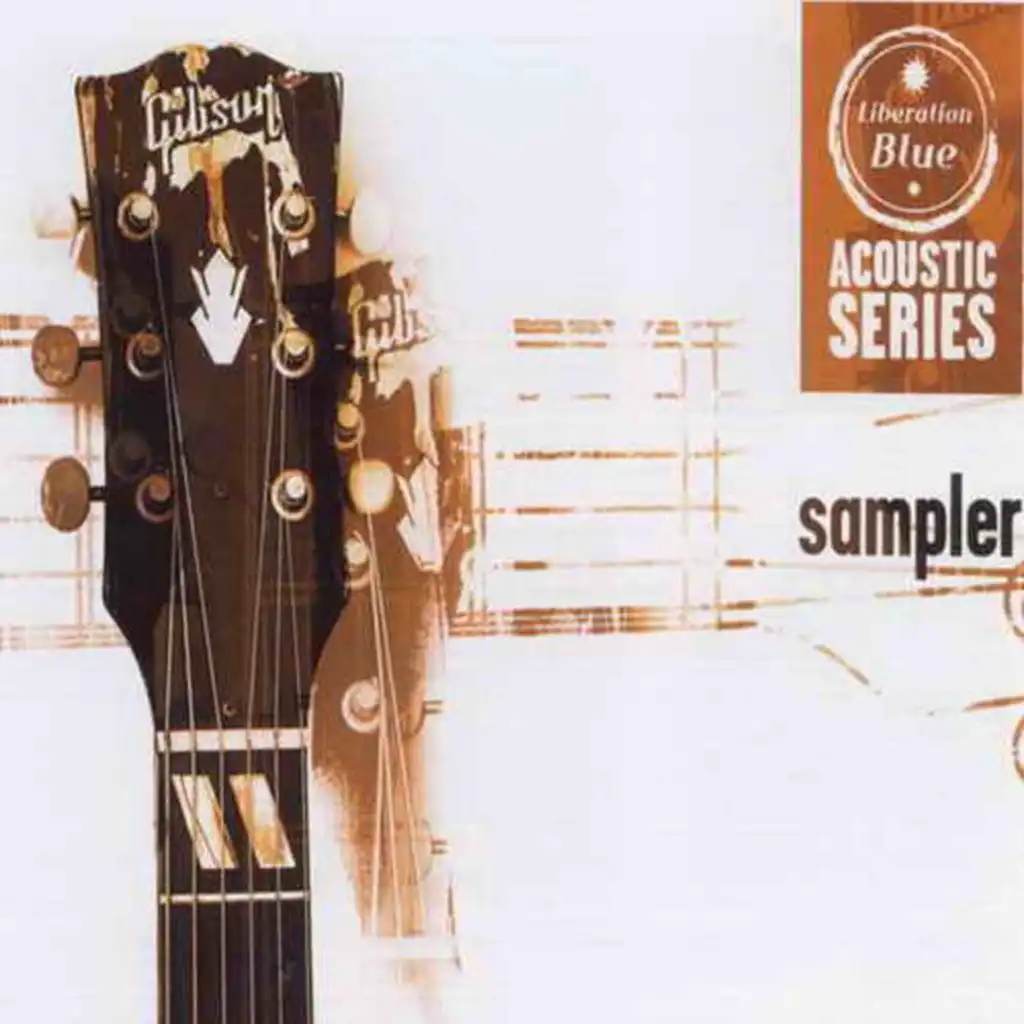 Acoustic Series Sampler (II)