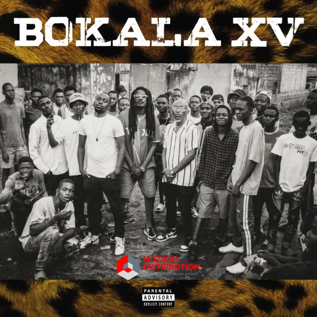 Bokala XV