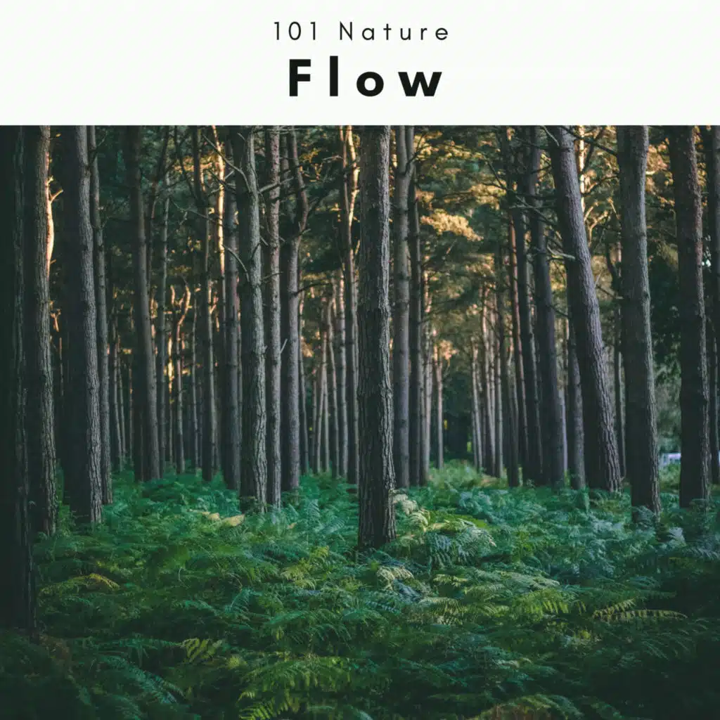 Music of Smooth Brook with Bird and Water Flow Song (feat. Pacific Rain & Sowetness)