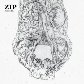 fabric 67: Zip