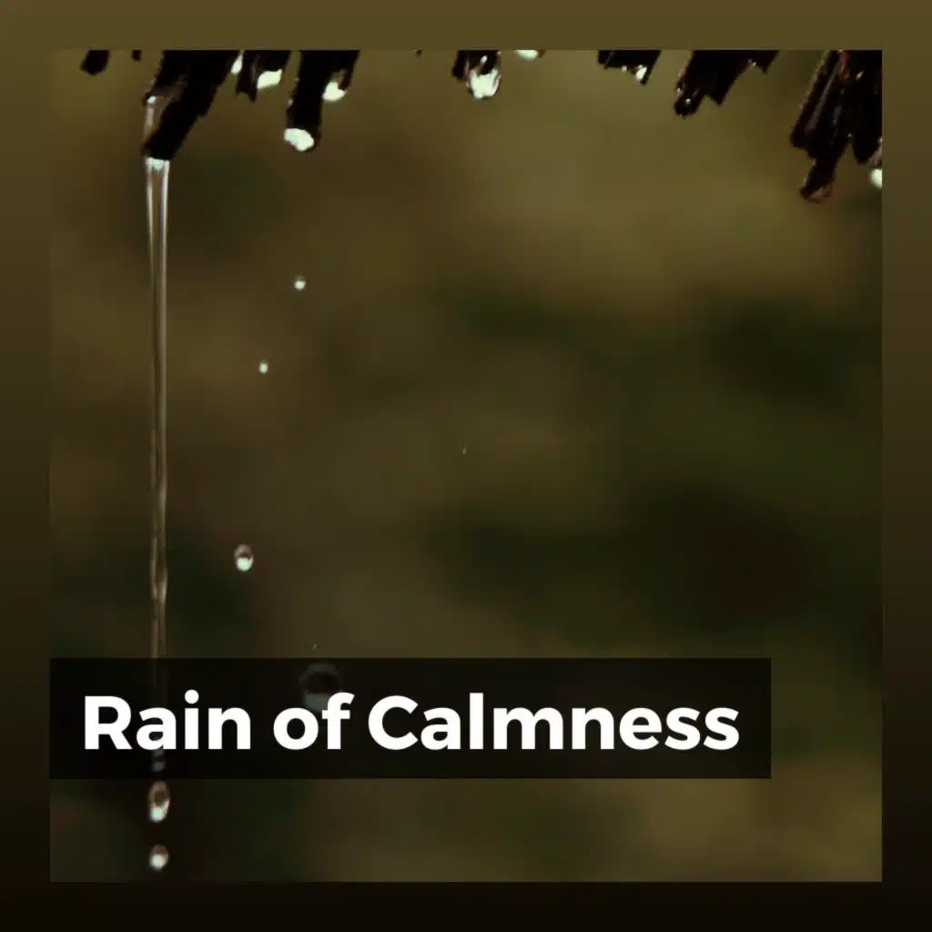 Rain for Meditation, Pt. 6