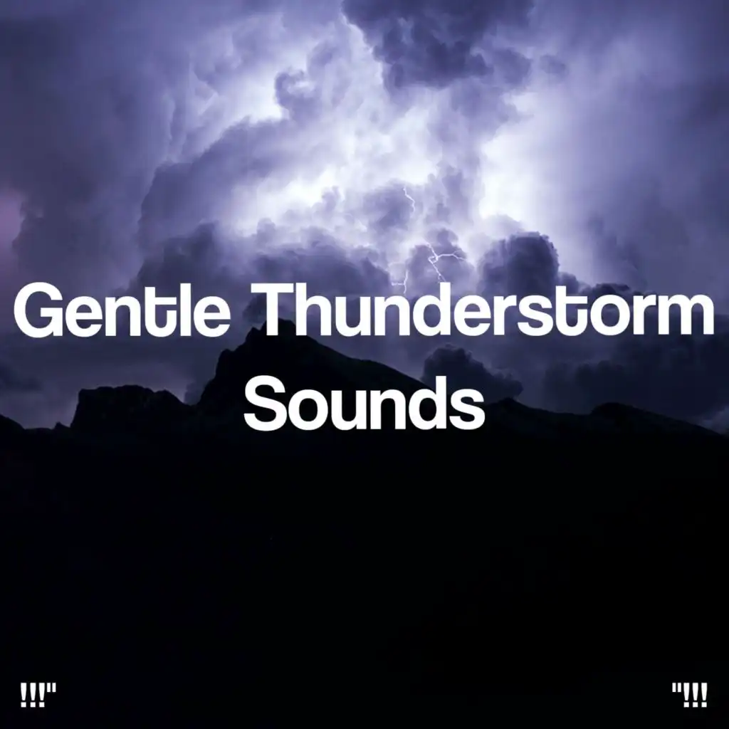 !!!" Gentle Thunderstorm Sounds "!!!