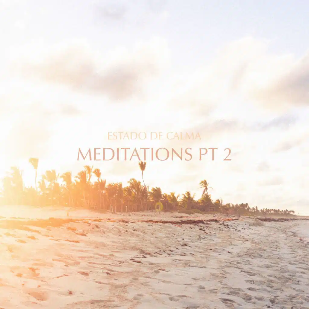 Meditations Pt 2