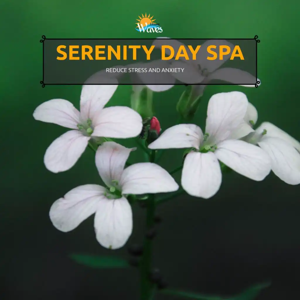 Serenity Day Spa - Reduce Stress and Anxiety