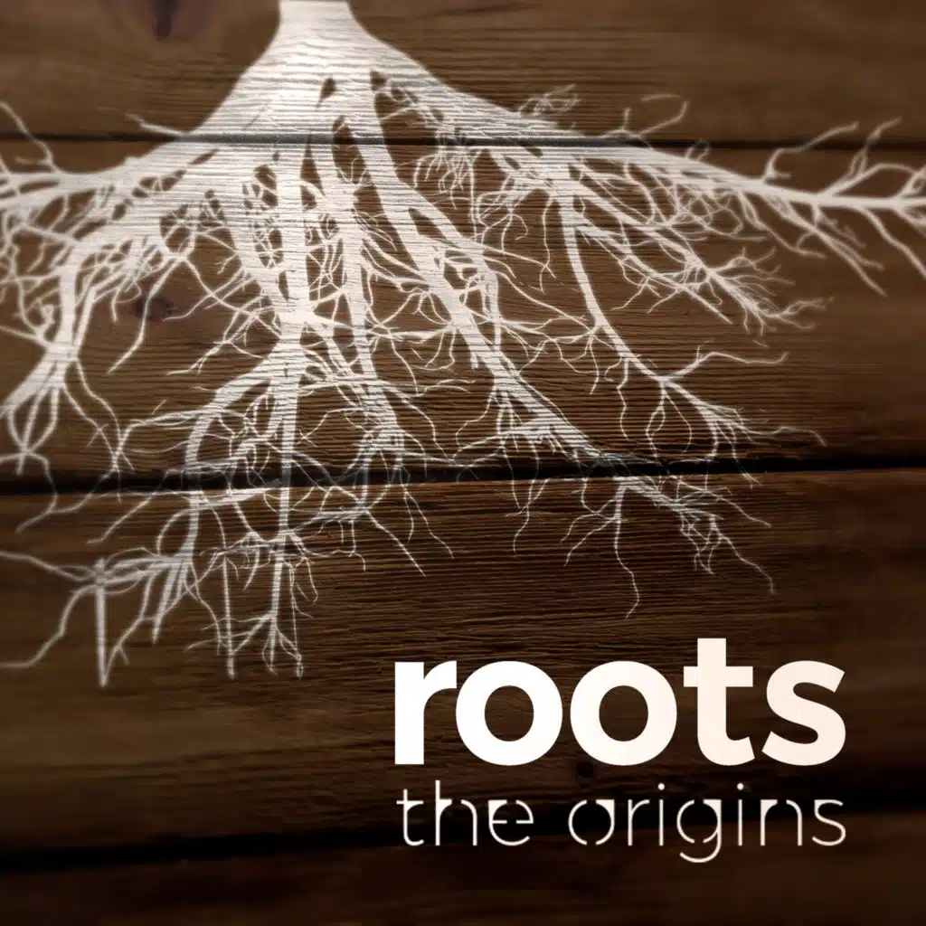 Roots (feat. Dursun Can Cakin & Serkan Cakmak)
