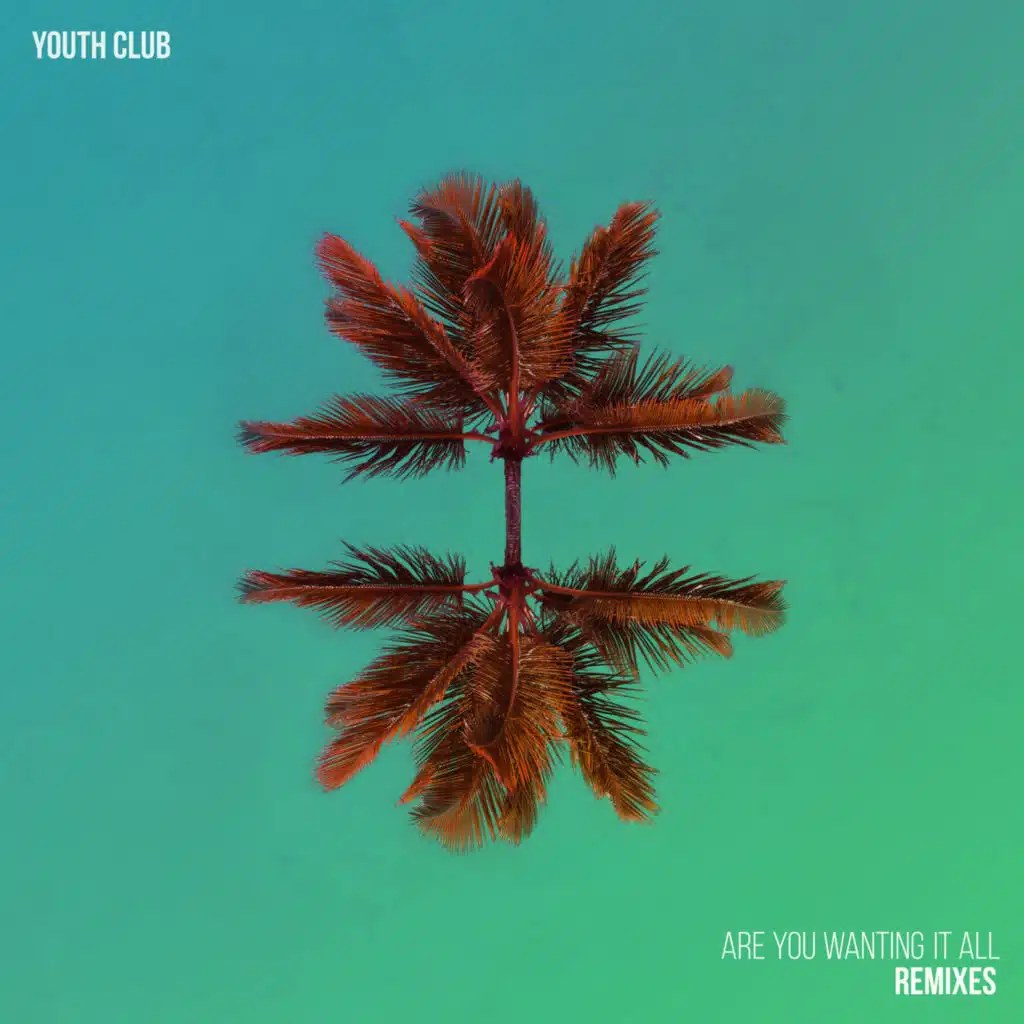 Are You Wanting It All (Jeff Nang Remix)