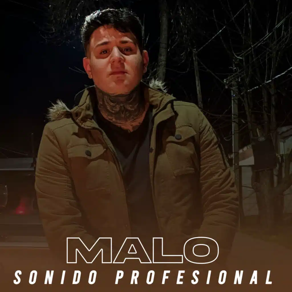 Sonido Profesional