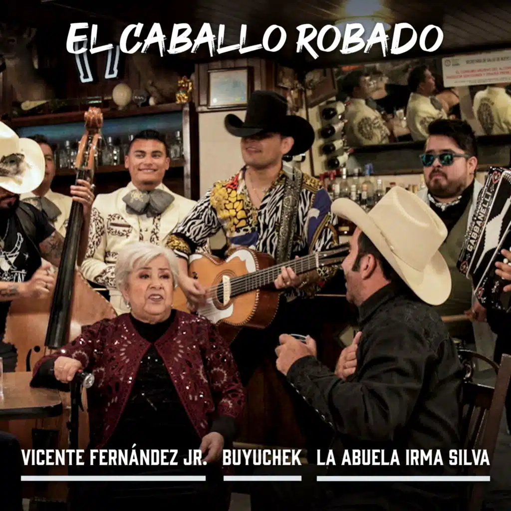 Vicente Fernández Jr., Los Nietos de Terán & La Abuela Irma Silva