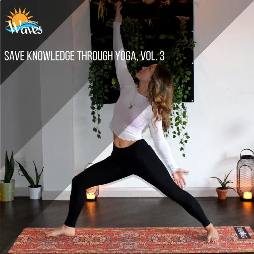Save Knowledge Through Yoga, Vol. 3