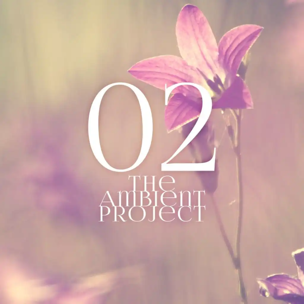 The Ambient Project, Vol. 2