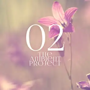 The Ambient Project, Vol. 2