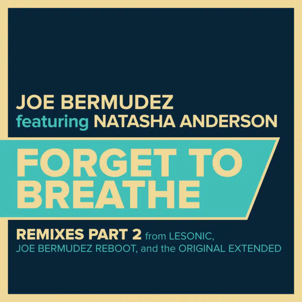 Forget To Breathe (Joe Bermudez Reboot) [feat. Natasha Anderson]