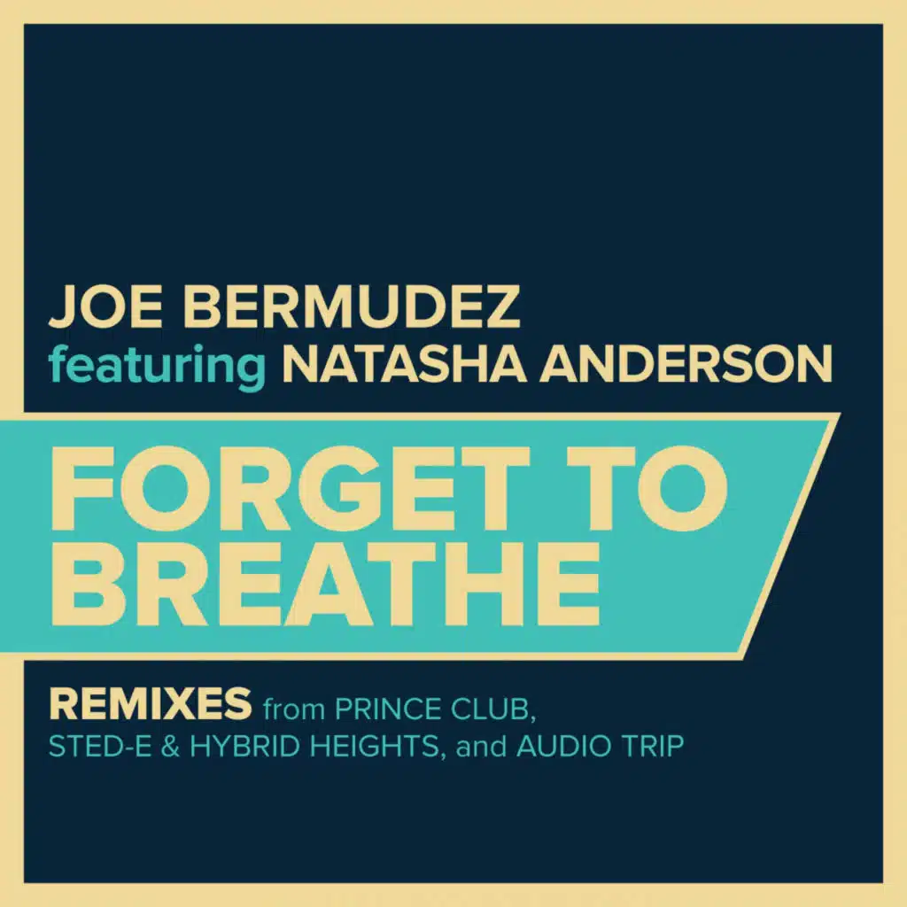 Forget To Breathe (Sted-E & Hybrid Heights Remix) [feat. Natasha Anderson]