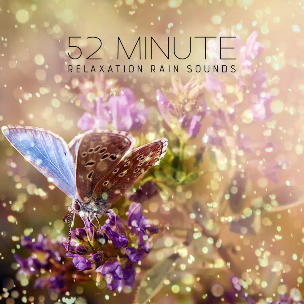 52 Minute Relaxation Rain Sounds