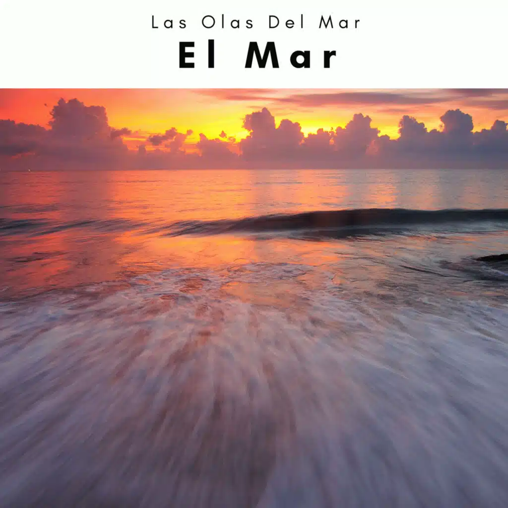 2022 El Mar
