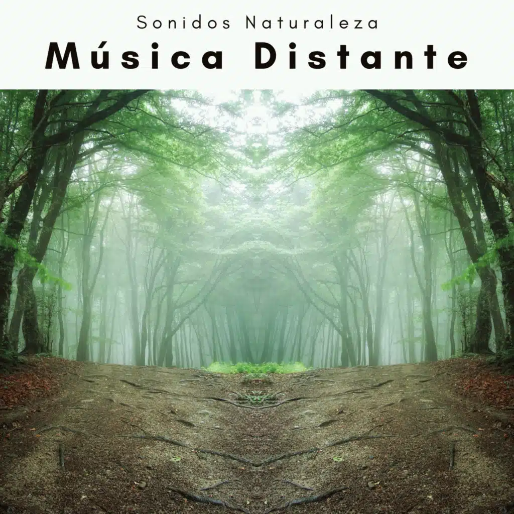 1 Música Distante