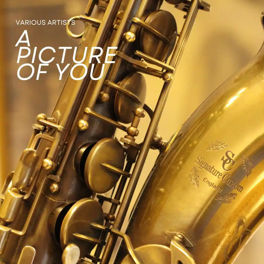 Early Talkie Memories Pt 2: Lullaby of Broadwaytip-Toe Through the Tulipsif I Had a Talking Picture of You (feat. Michael Raucheisen)