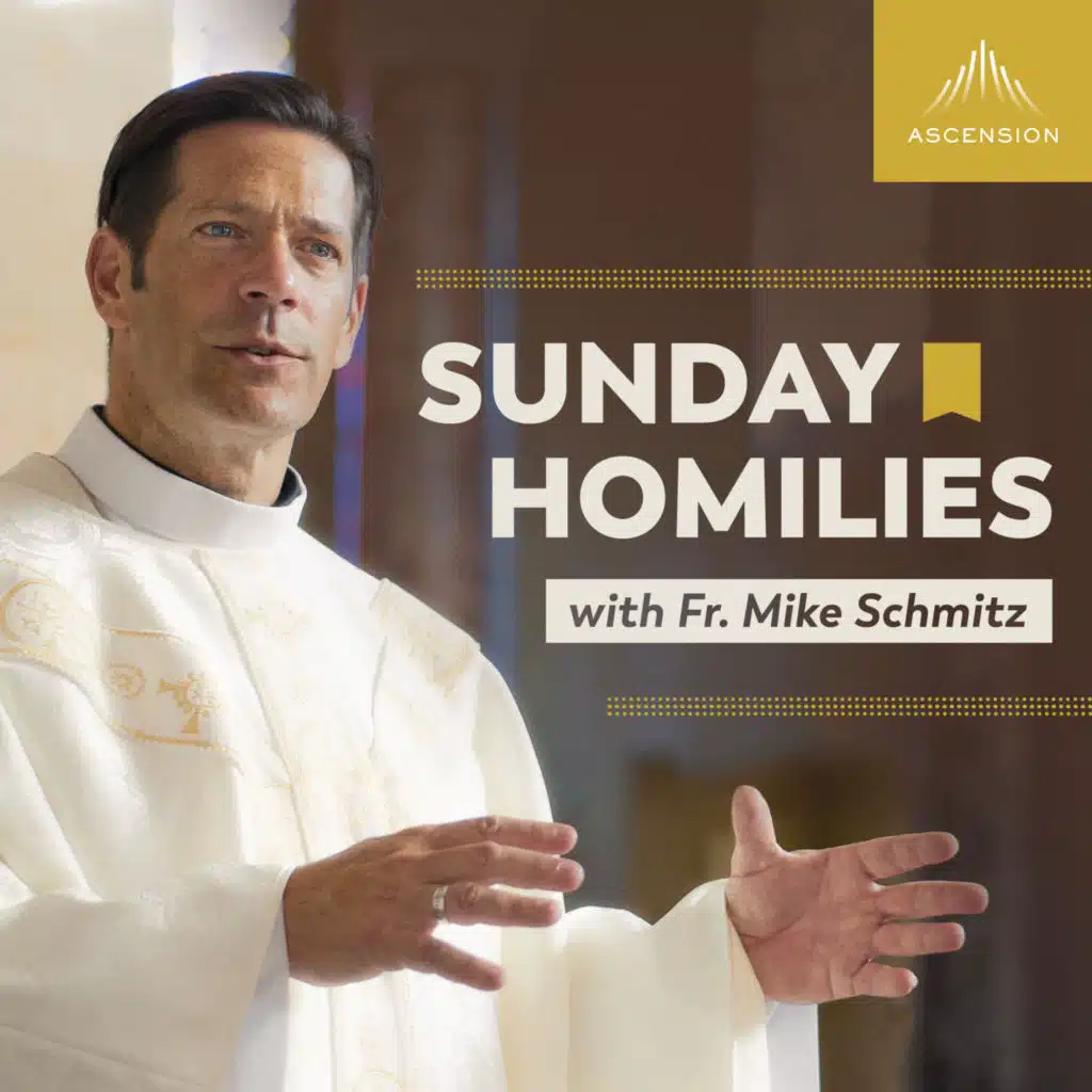 Sunday Homilies with Fr. Mike Schmitz