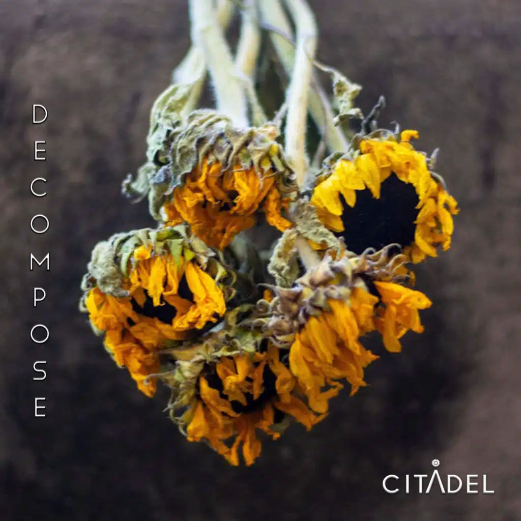 DECOMPOSE
