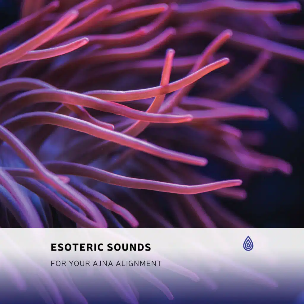 Esoteric Sounds for Your Ajna Alignment
