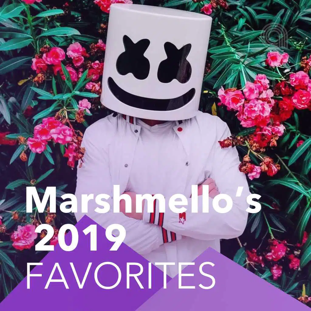 Marshmello’s 2019 Favorites