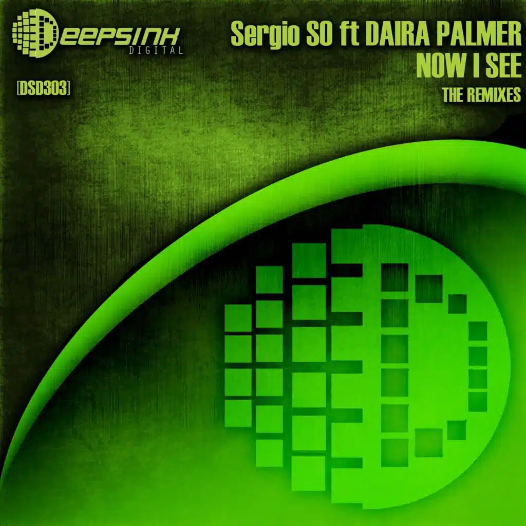 The Remixes (feat. Daira Palmer)