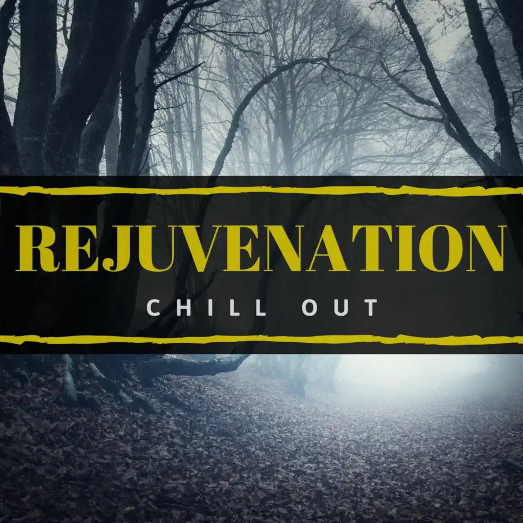 Rejuvenation Chill Out