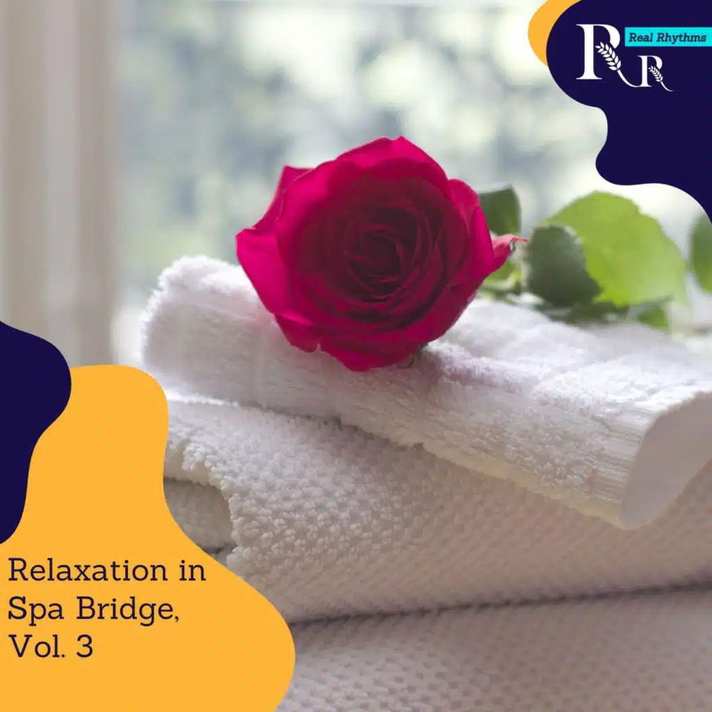 Relaxation in Spa Bridge, Vol. 3