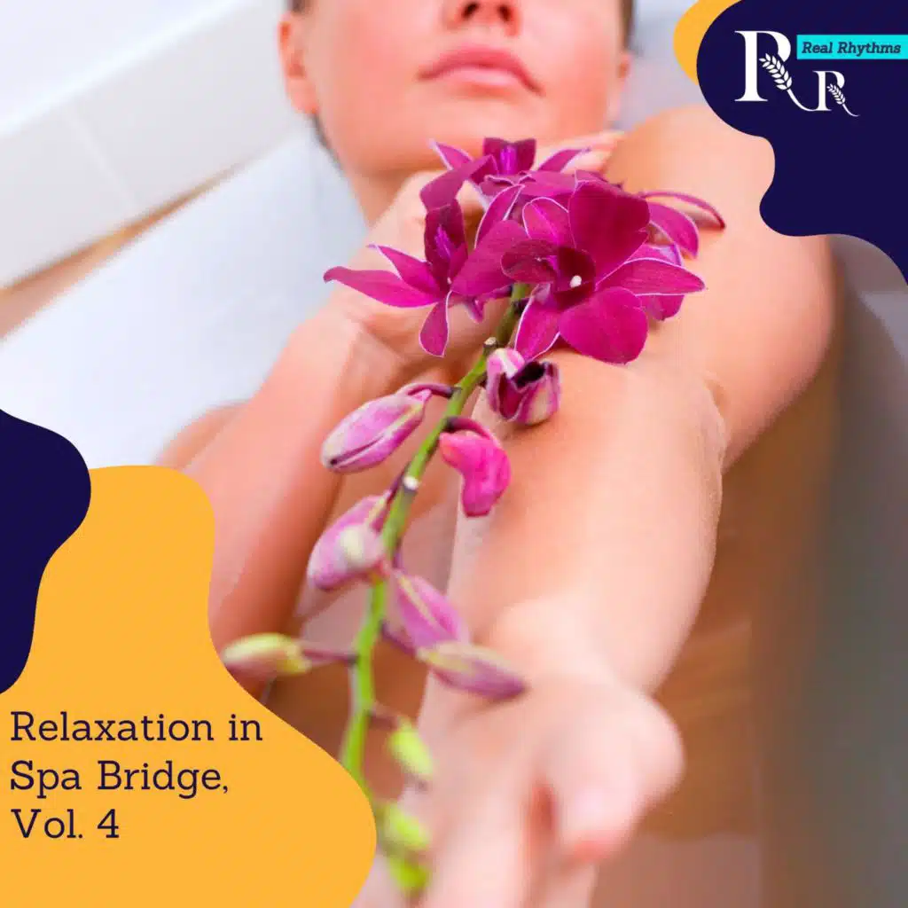 Relaxation in Spa Bridge, Vol. 4