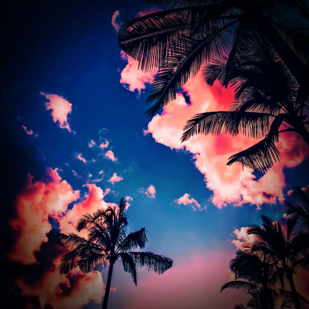 No Role Modelz ((Instrumental Slowed Cover))