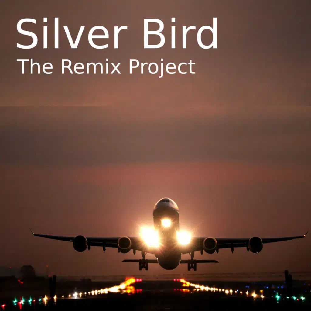 Silver Bird