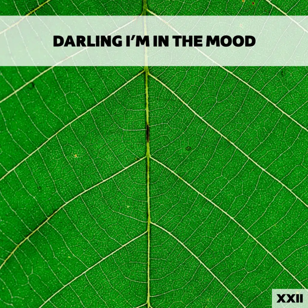 Darling I'm In The Mood XXII