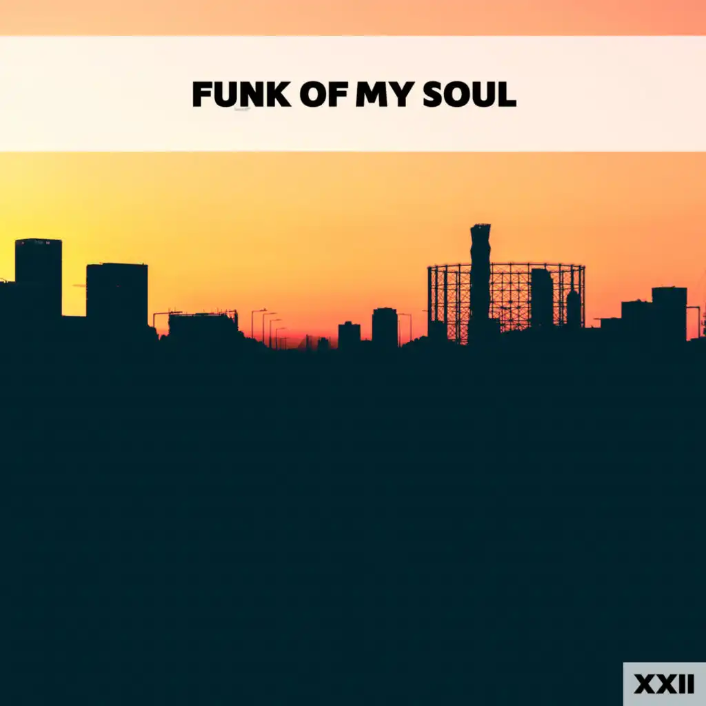 Funk Of My Soul XXII
