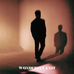 Wonderful Exit