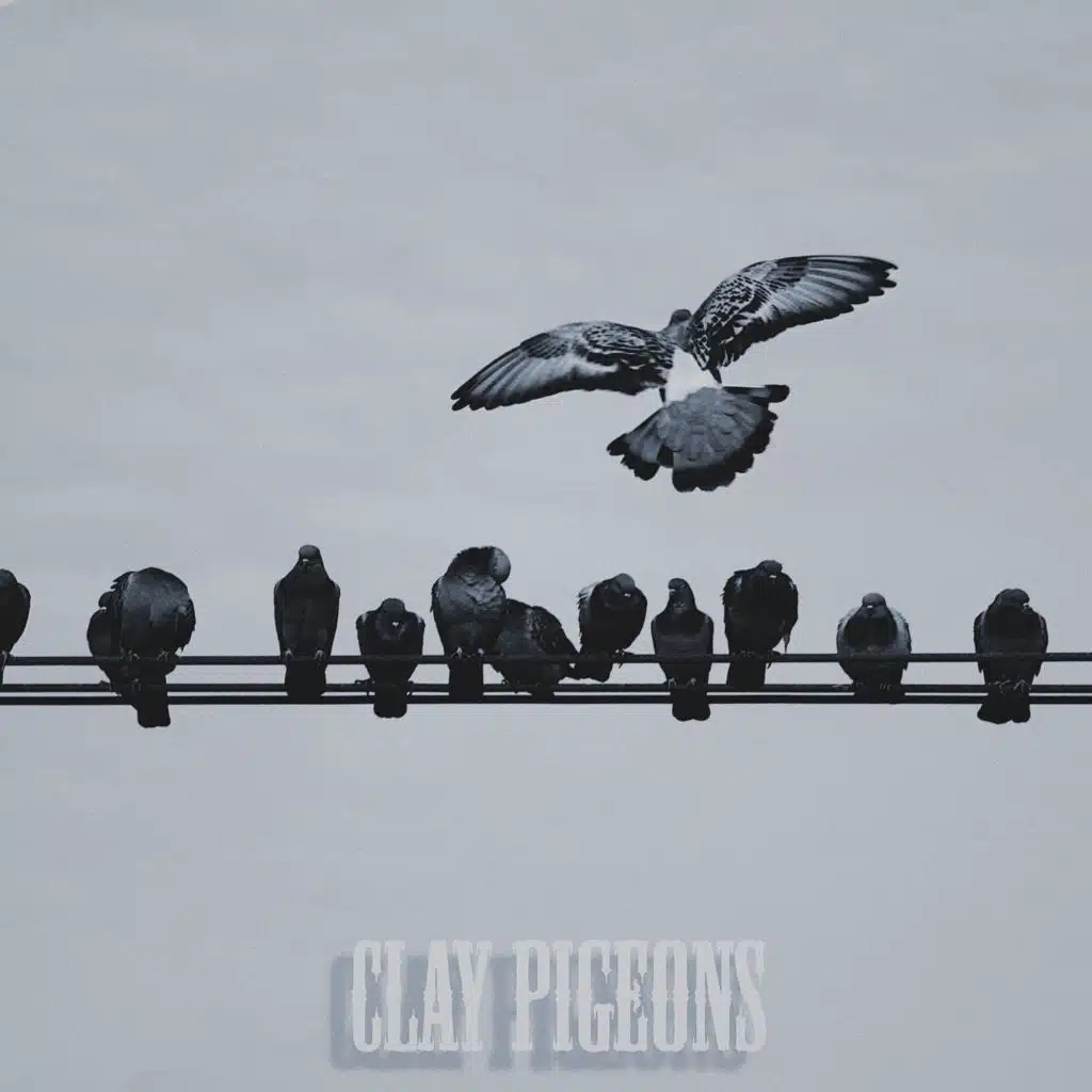 Clay Pigeons