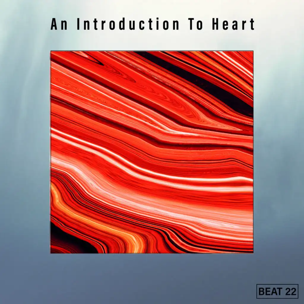 An Introduction To Heart Beat 22
