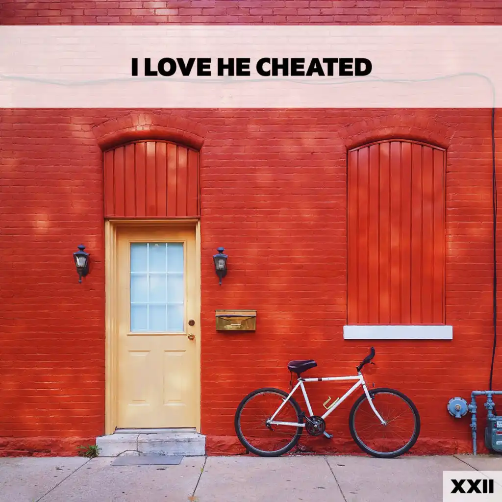 I Love He Cheated XXII