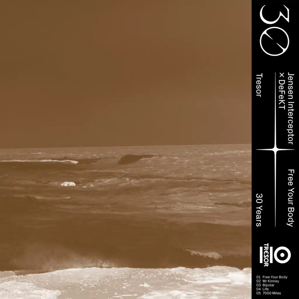 Jensen Interceptor & DeFeKT