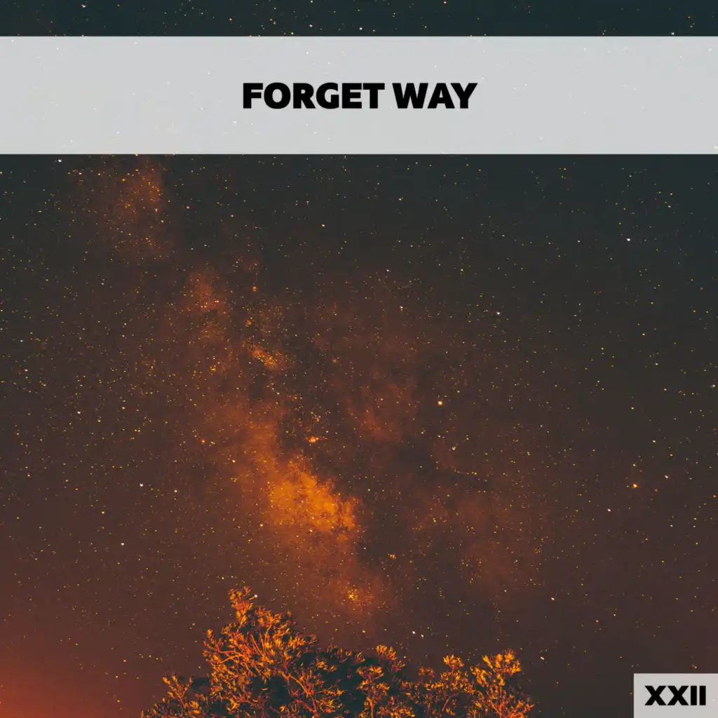 Forget Way XXII