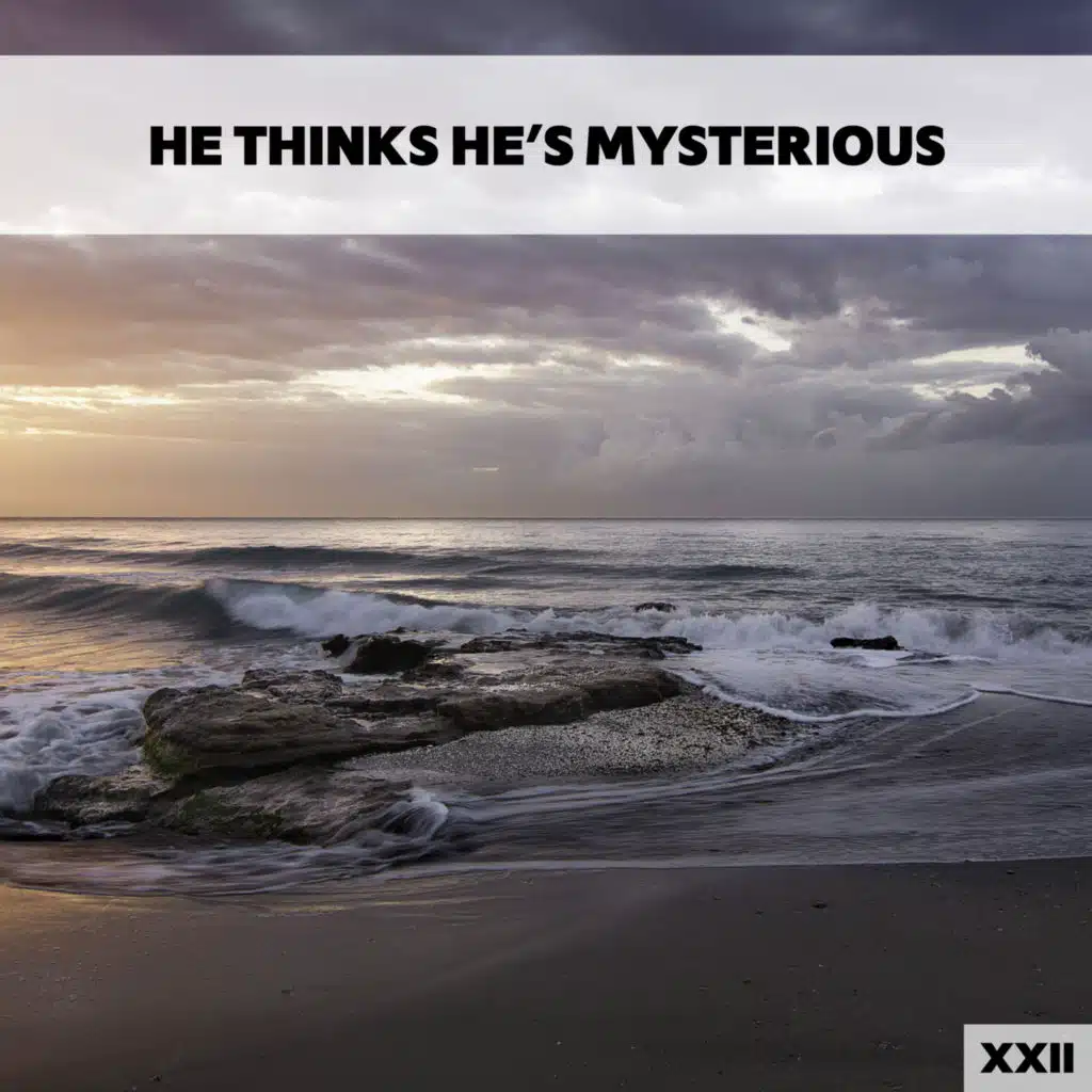 He's Sophisticated XXII