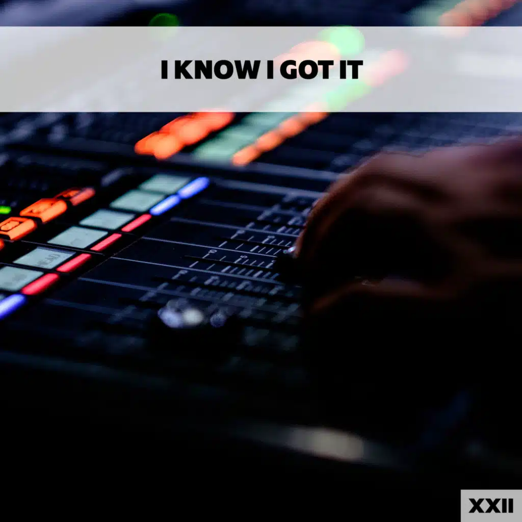 I Know I Got It XXII