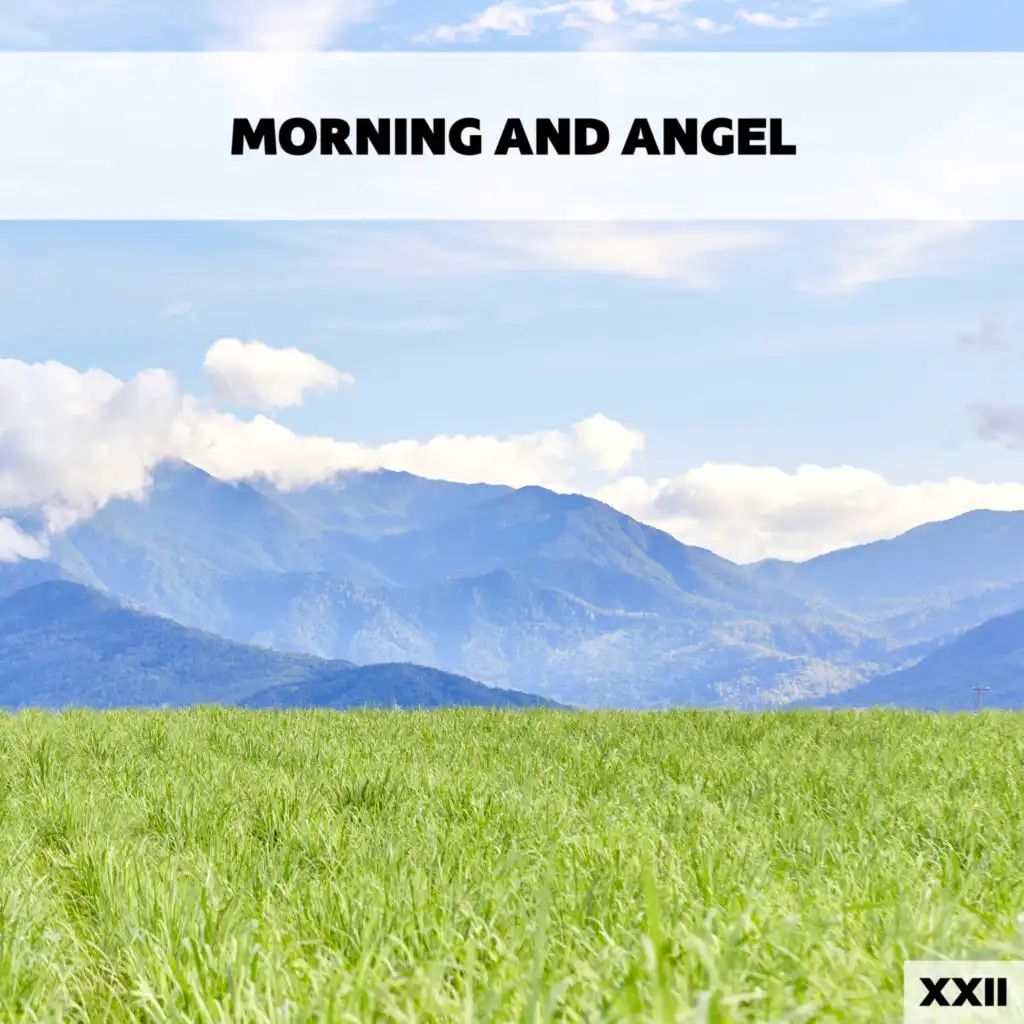 Morning And Angel XXII