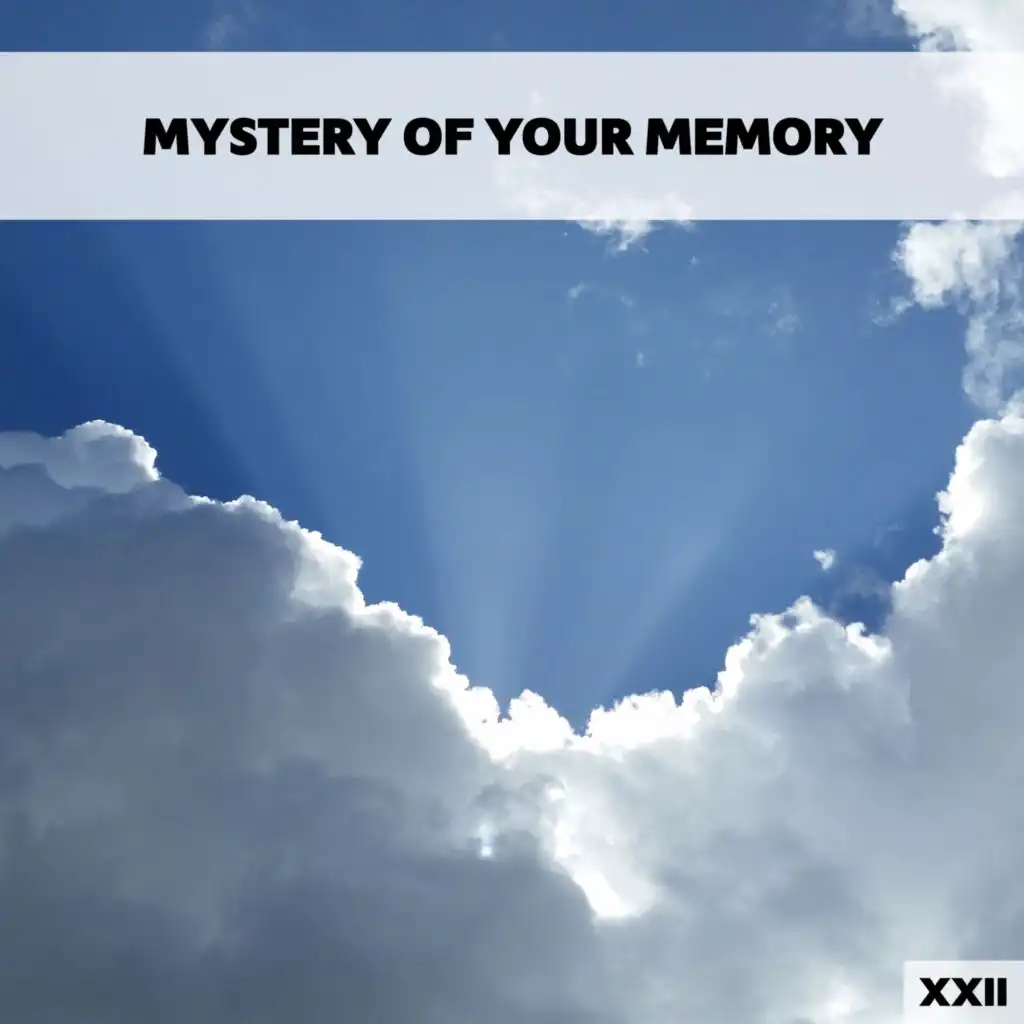 Mystery Of Your Memory XXII