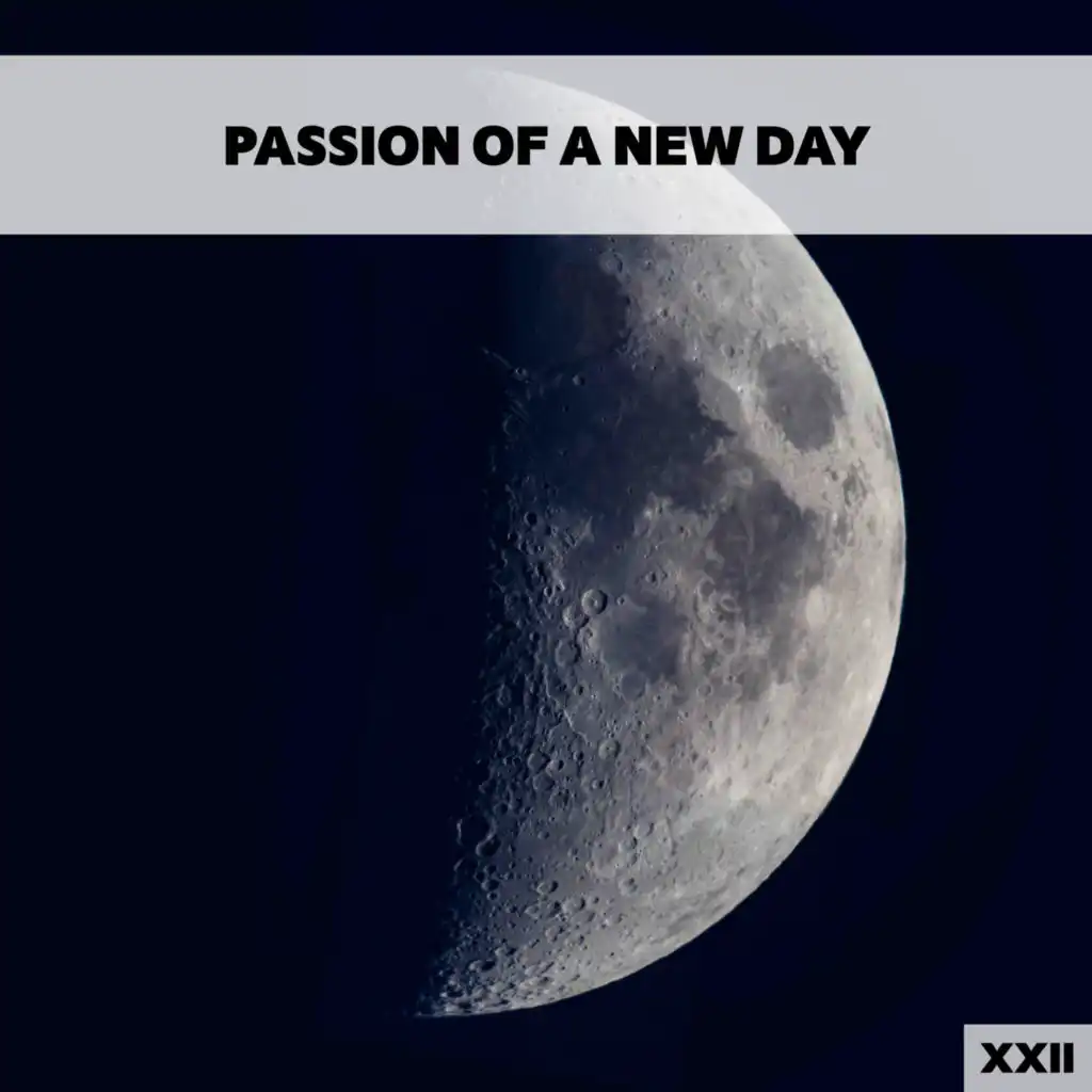 Passion Of A New Day XXII