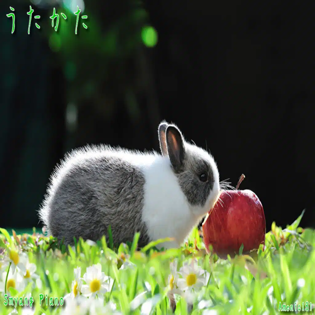 うたかた