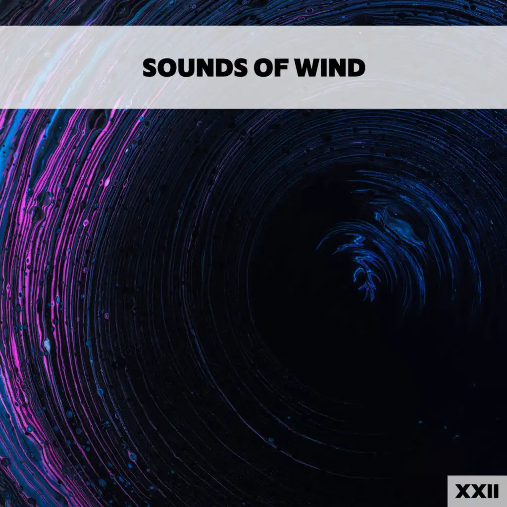 Sounds Of Wind XXII